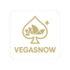 VegasNow Casino - Premium Online Casino Australia
